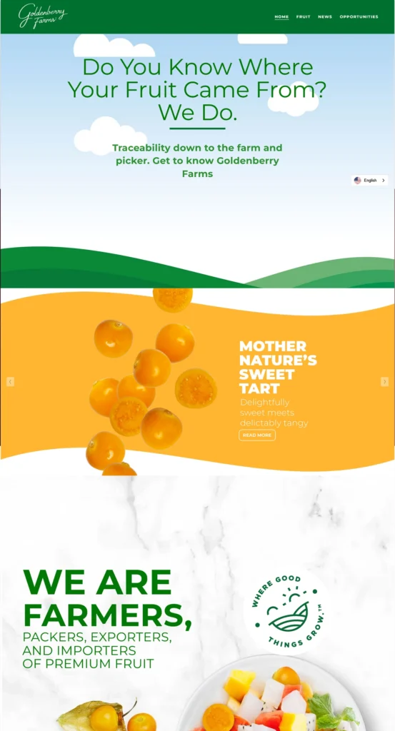 Website design and development in dubai