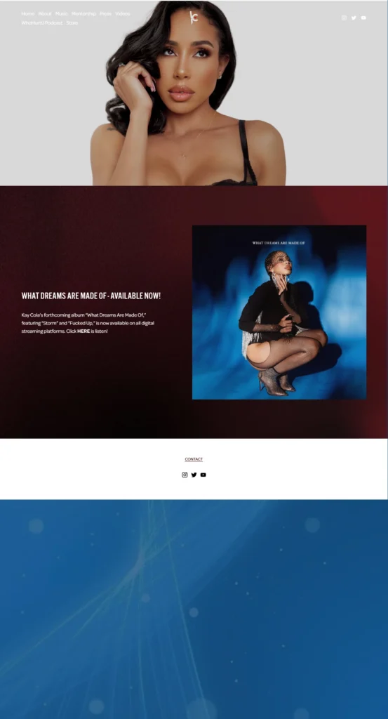 Website design and development in dubai