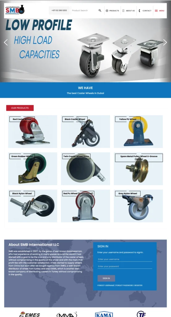 Website design and development in dubai